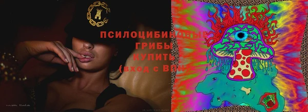 МДПВ Гусиноозёрск