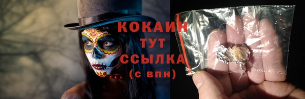 spice Гусь-Хрустальный