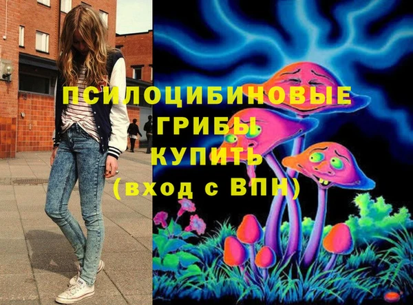 герыч Дмитриев