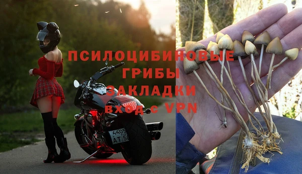 амфетамин Гусев