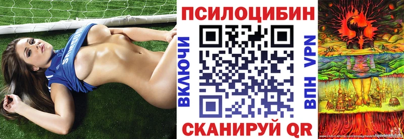 Купить где  Городец  Псилоцибиновые грибы мицелий 